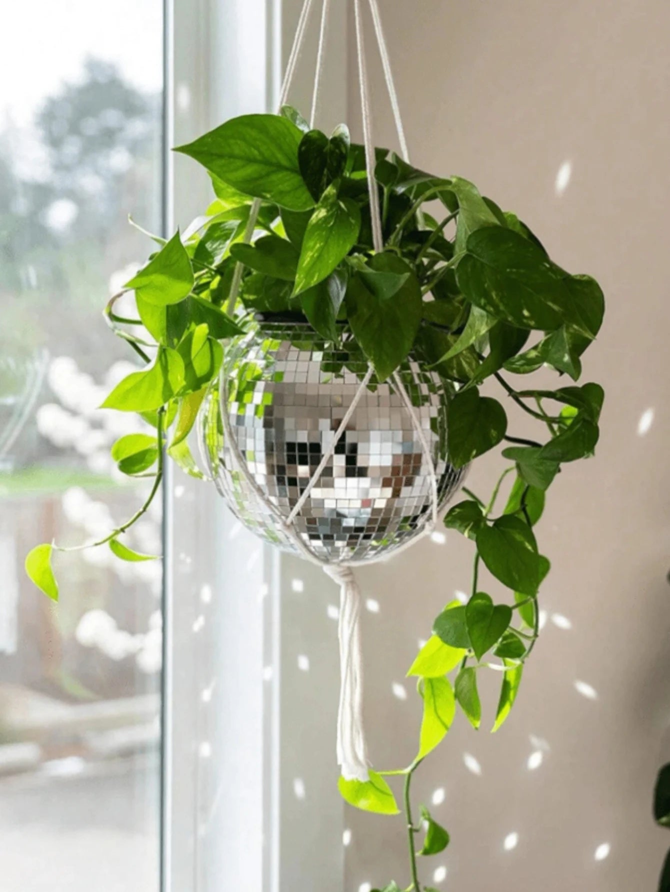 Vase Rond en Verre — Décoration Florale Salon & Table