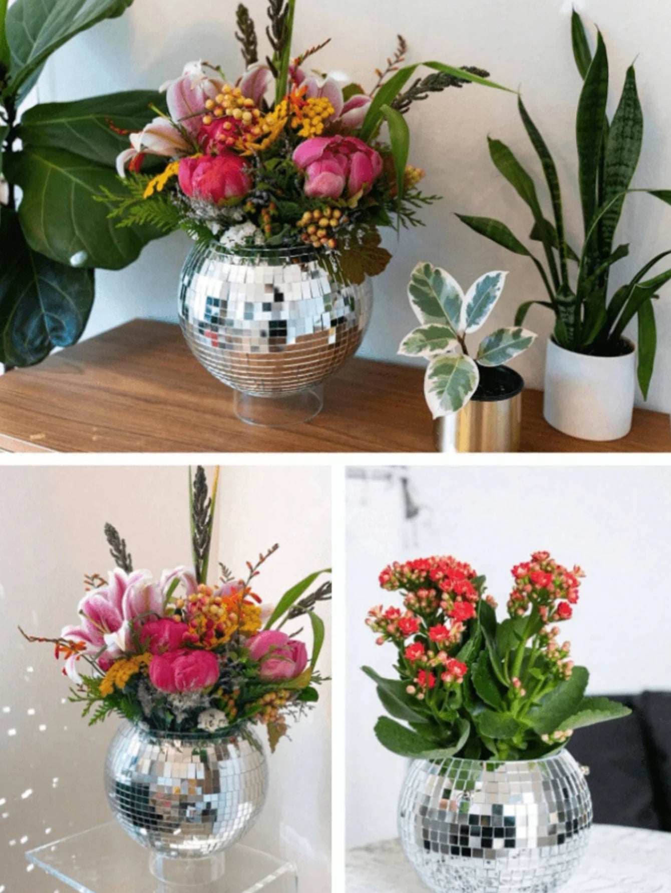 Vase Rond en Verre — Décoration Florale Salon & Table